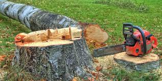 Best Firewood Processing and Delivery  in Fruitdale, CA