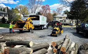 Best Lawn Pest Prevention  in Fruitdale, CA